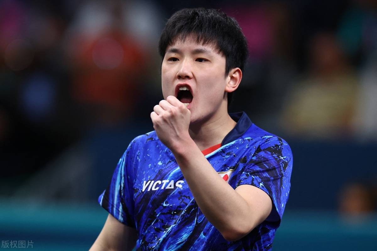 瑞典队力克波兰队,张本智和高光表现的简单介绍 瑞典队力克波兰队,张本智和高光表现的简单介绍