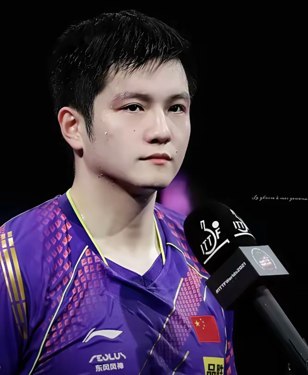 日本队逆转波兰队，樊振东状态火热