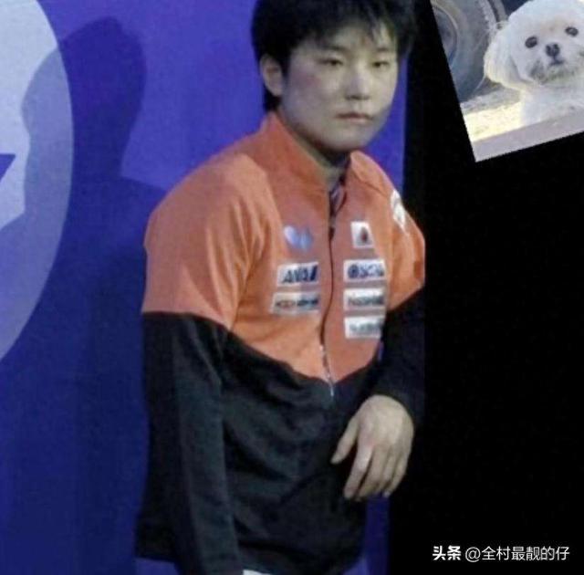 中国队翻盘德国队，张本智和高光表现